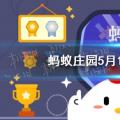 今天 小鸡宝宝测试你的答案 答案是5月16日最新的一个 百花齐放变成蜂蜜之后