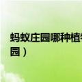 蚂蚁庄园哪种植物会寄生在梭梭（哪种植物会寄生在蚂蚁庄园）