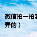 微信拍一拍怎么弄视频展示（微信拍一拍怎么弄的）