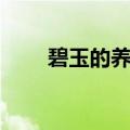 碧玉的养殖方法（碧玉的养殖方法）