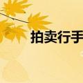 拍卖行手续费税费（拍卖行手续费）