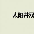 太阳井双子详细攻略（太阳井双子）