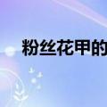 粉丝花甲的做法视频（粉丝花甲的做法）