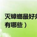 灭蟑螂最好办法不用小苏打（灭蟑螂最好办法有哪些）