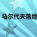 马尔代夫落地签证表格（马尔代夫落地签证）