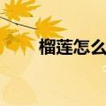 榴莲怎么选择新鲜（榴莲怎么选择）