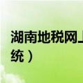 湖南地税网上申报网站（湖南地税网上申报系统）