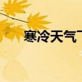 寒冷天气飞行在哪学（寒冷天气飞行）