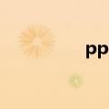 ppt flash（ppt flash）