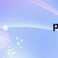 p6 任务（p6 root）
