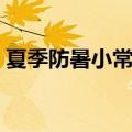夏季防暑小常识动画视频（夏季防暑小常识）