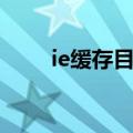 ie缓存目录可以改吗（ie缓存目录）