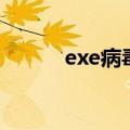exe病毒是什么（exe病毒专杀）