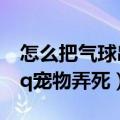 怎么把气球串成一串再固定在墙上（怎么把qq宠物弄死）