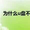 为什么u盘不显示文件（为什么u盘不显示）