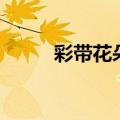 彩带花朵的编法（彩带花的折法）
