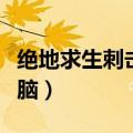 绝地求生刺击战场图片（绝地求生刺击战场电脑）