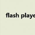 flash player插件（flash player已过期）