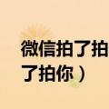 微信拍了拍你是什么意思官方解释（微信 拍了拍你）