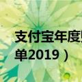 支付宝年度账单2019怎么查（支付宝年度账单2019）