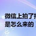 微信上拍了拍自己是怎么来的（微信上拍了拍是怎么来的）