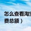 怎么查看淘宝消费总额图片（怎么查看淘宝消费总额）