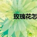 玫瑰花怎么包装（玫瑰花怎么包装）