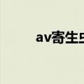av寄生虫（关于av寄生虫的介绍）