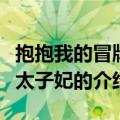 抱抱我的冒牌皇太子妃（关于抱抱我的冒牌皇太子妃的介绍）