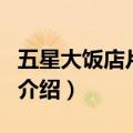 五星大饭店片尾曲（关于五星大饭店片尾曲的介绍）