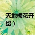 天地梅花开 胡歌（关于天地梅花开 胡歌的介绍）