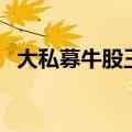大私募牛股王（关于大私募牛股王的介绍）