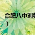 合肥八中刘馨纤（关于合肥八中刘馨纤的介绍）
