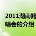 2011湖南跨年演唱会（关于2011湖南跨年演唱会的介绍）