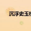 沉浮史玉柱（关于沉浮史玉柱的介绍）