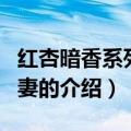 红杏暗香系列之宦妻（关于红杏暗香系列之宦妻的介绍）