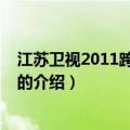 江苏卫视2011跨年演唱会（关于江苏卫视2011跨年演唱会的介绍）