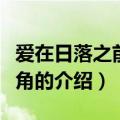 爱在日落之前男主角（关于爱在日落之前男主角的介绍）