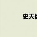 史天健（关于史天健的介绍）