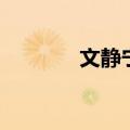 文静宁（关于文静宁的介绍）