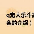 q宠大乐斗武林大会（关于q宠大乐斗武林大会的介绍）