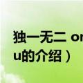 独一无二 only you（关于独一无二 only you的介绍）