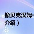 像贝克汉姆一样踢（关于像贝克汉姆一样踢的介绍）