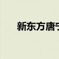 新东方唐宁（关于新东方唐宁的介绍）