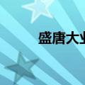 盛唐大业（关于盛唐大业的介绍）