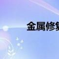 金属修复（关于金属修复的介绍）