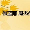 伽蓝雨 周杰伦（关于伽蓝雨 周杰伦的介绍）