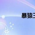 暴猿王（关于暴猿王的介绍）