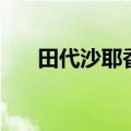 田代沙耶香（关于田代沙耶香的介绍）