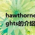 hawthorne heights（关于hawthorne heights的介绍）
